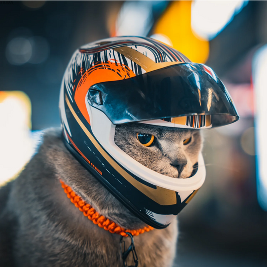 PawsProtect Mini Pet Helmet