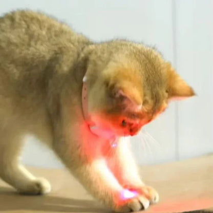 Bright & Playful LED - Fun for Your Cat!